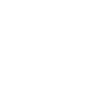 Palm Springs Skatepark logo