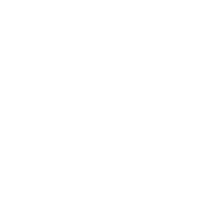 Alliance Skatepark logo